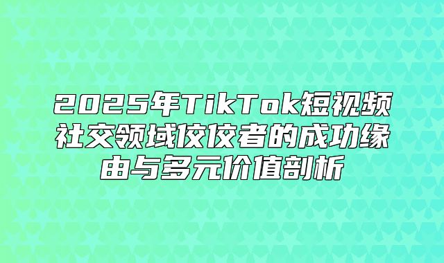 2025年TikTok短视频社交领域佼佼者的成功缘由与多元价值剖析