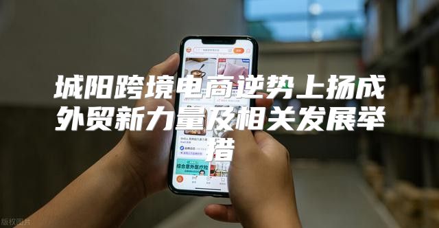 城阳跨境电商逆势上扬成外贸新力量及相关发展举措