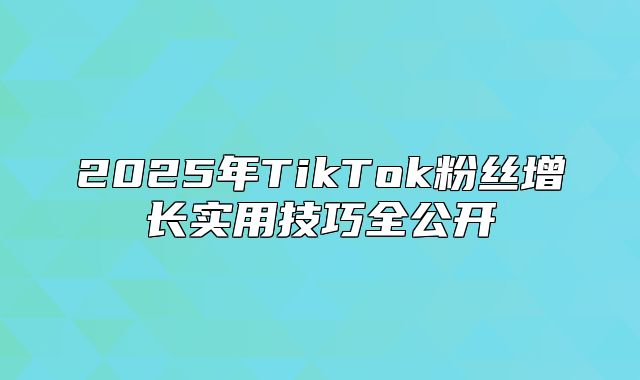 2025年TikTok粉丝增长实用技巧全公开