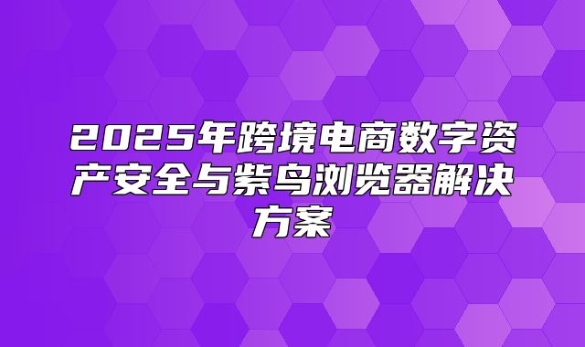 2025年跨境电商数字资产安全与紫鸟浏览器解决方案