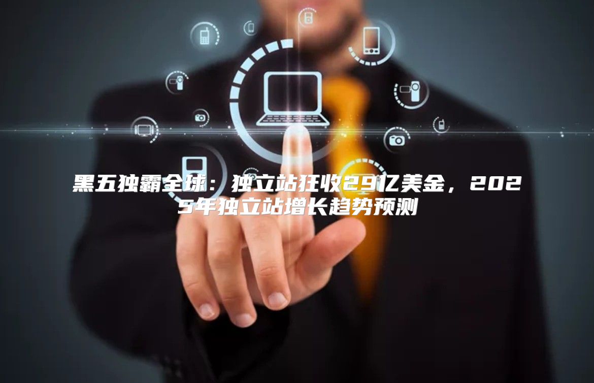 黑五独霸全球：独立站狂收29亿美金，2025年独立站增长趋势预测