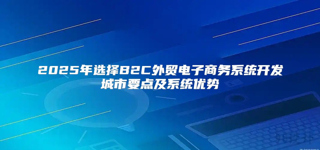 2025年选择B2C外贸电子商务系统开发城市要点及系统优势