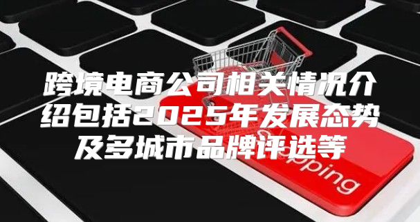 跨境电商公司相关情况介绍包括2025年发展态势及多城市品牌评选等
