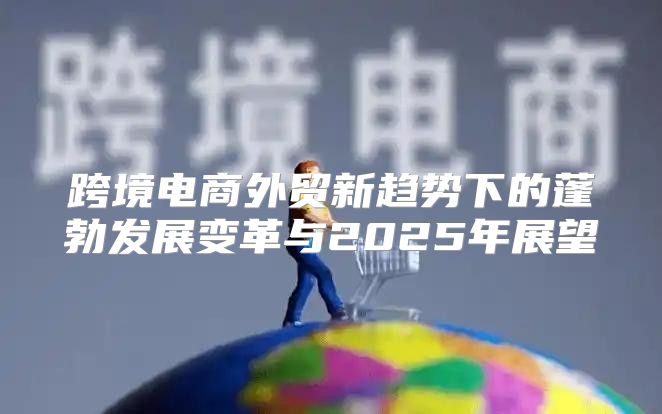 跨境电商外贸新趋势下的蓬勃发展变革与2025年展望