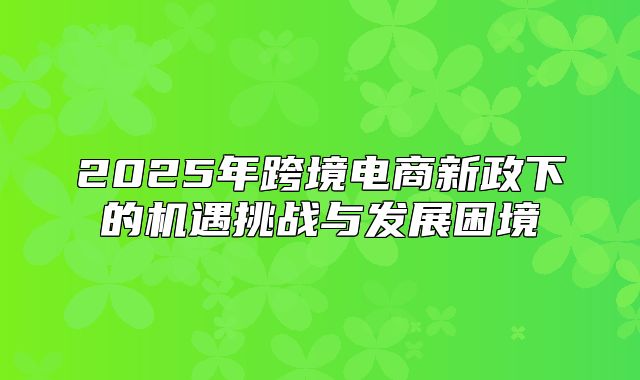 2025年跨境电商新政下的机遇挑战与发展困境