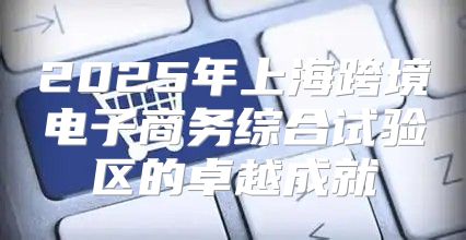 2025年上海跨境电子商务综合试验区的卓越成就
