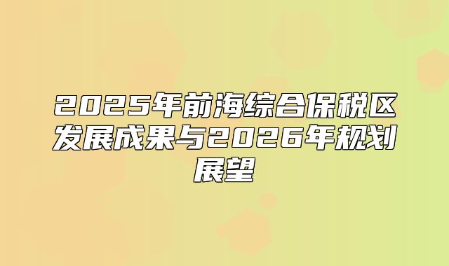 2025年前海综合保税区发展成果与2026年规划展望