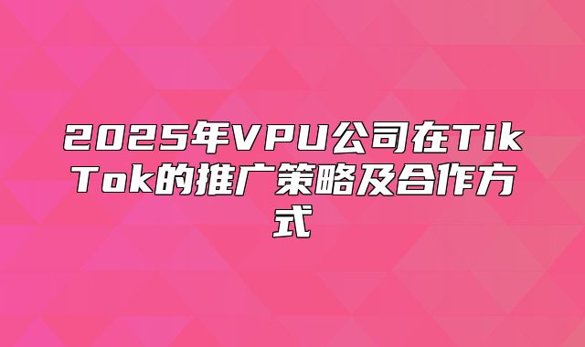 2025年VPU公司在TikTok的推广策略及合作方式