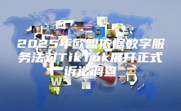 2025年欧盟依据数字服务法对TikTok展开正式诉讼调查