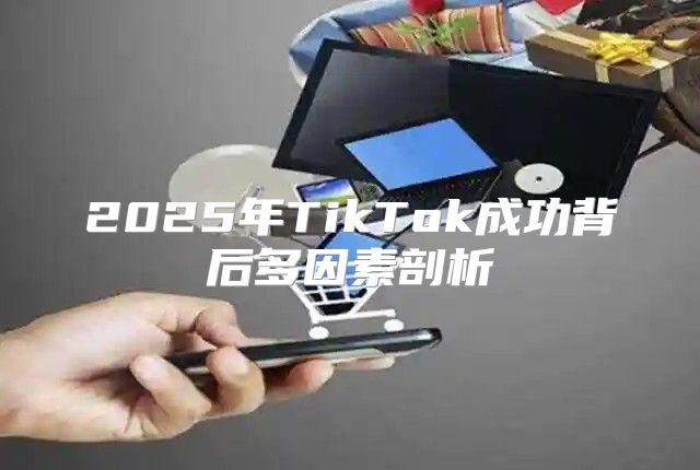 2025年TikTok成功背后多因素剖析