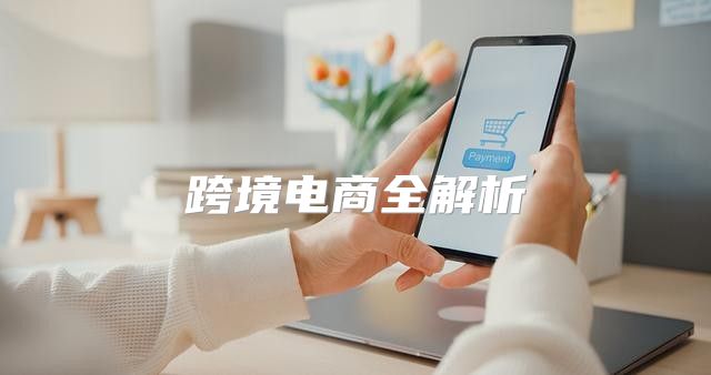跨境电商全解析