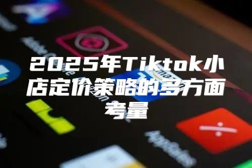 2025年Tiktok小店定价策略的多方面考量