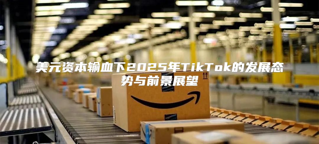 美元资本输血下2025年TikTok的发展态势与前景展望