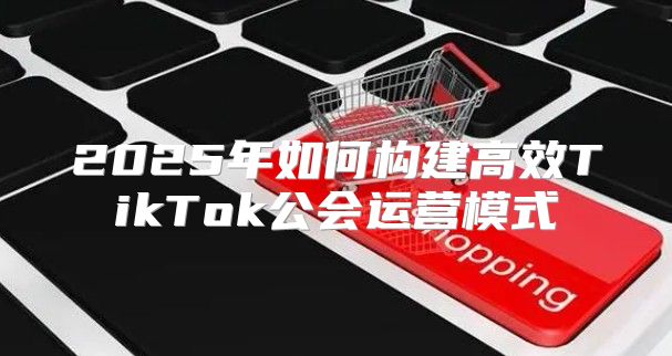 2025年如何构建高效TikTok公会运营模式