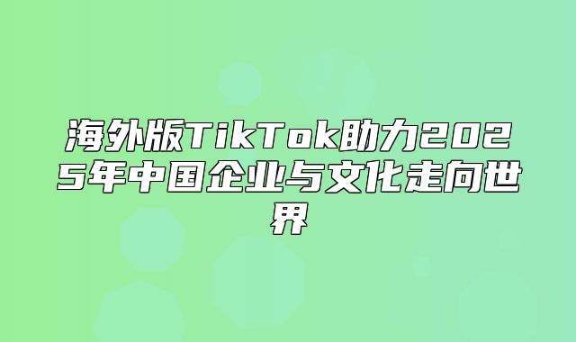 海外版TikTok助力2025年中国企业与文化走向世界
