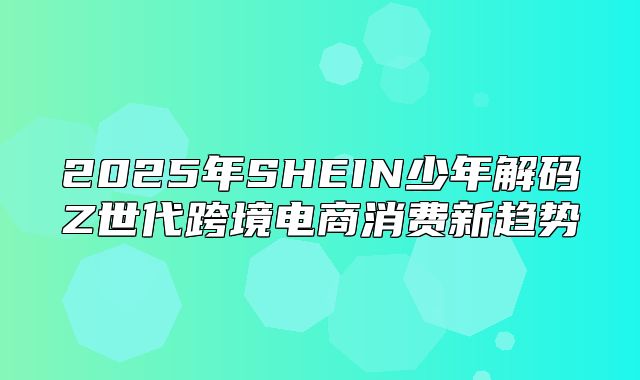 2025年SHEIN少年解码Z世代跨境电商消费新趋势