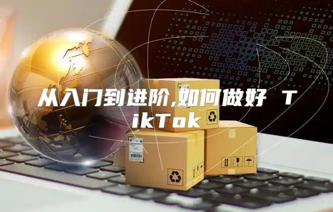 从入门到进阶,如何做好 TikTok