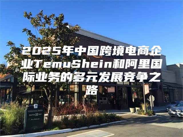 2025年中国跨境电商企业TemuShein和阿里国际业务的多元发展竞争之路