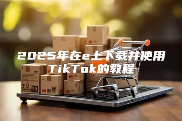 2025年在e上下载并使用TikTok的教程