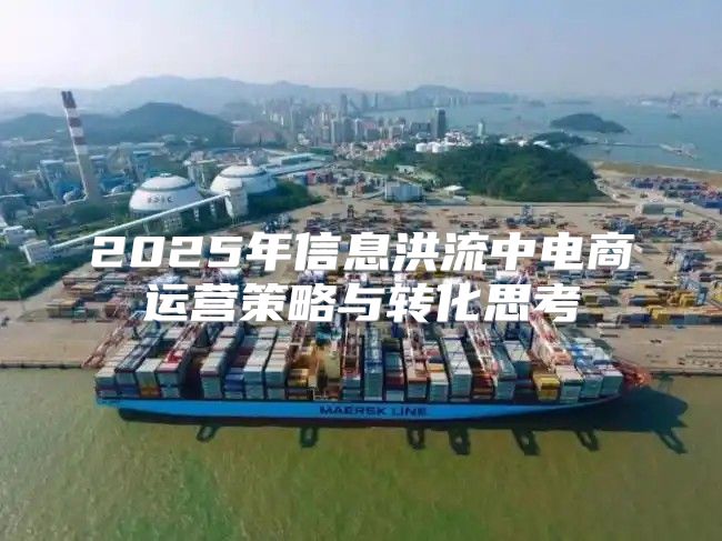 2025年信息洪流中电商运营策略与转化思考