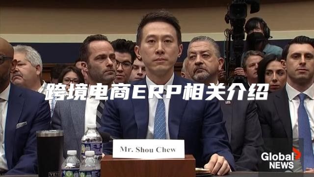 跨境电商ERP相关介绍