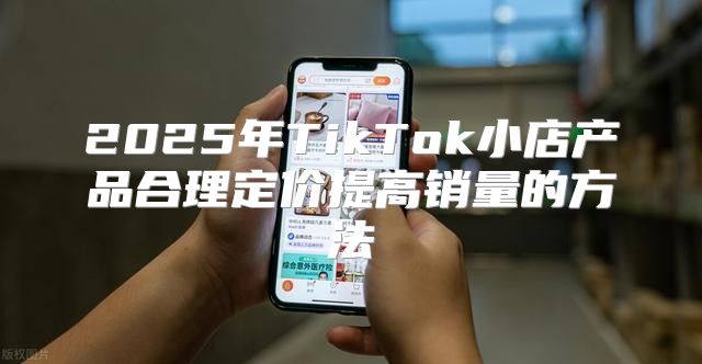 2025年TikTok小店产品合理定价提高销量的方法