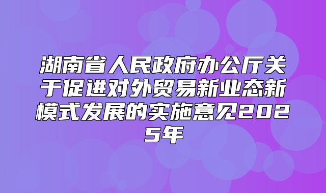 湖南省人民政府办公厅关于促进对外贸易新业态新模式发展的实施意见2025年