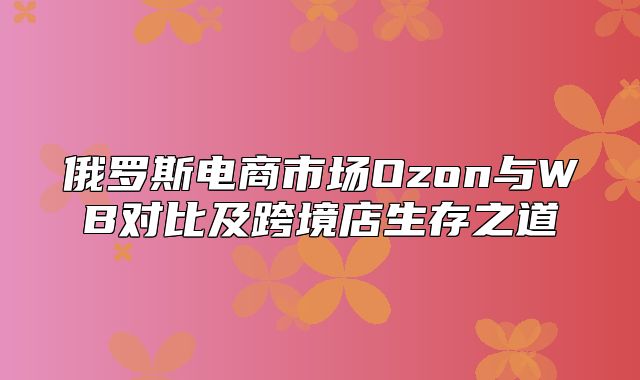 俄罗斯电商市场Ozon与WB对比及跨境店生存之道