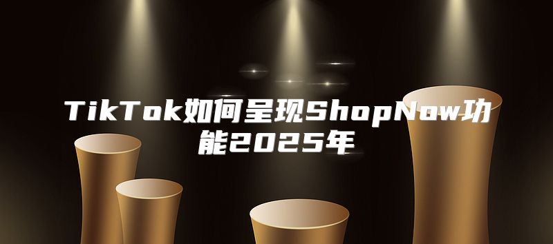 TikTok如何呈现ShopNow功能2025年