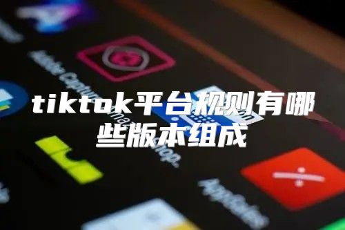 tiktok平台规则有哪些版本组成