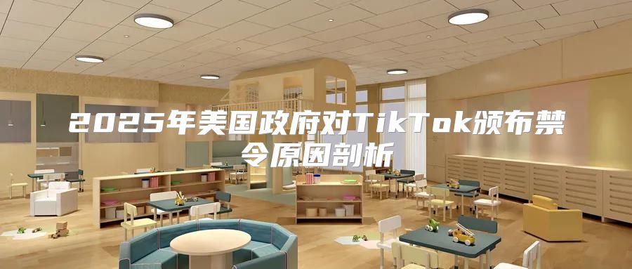 2025年美国政府对TikTok颁布禁令原因剖析