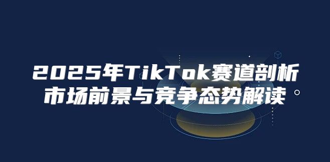 2025年TikTok赛道剖析市场前景与竞争态势解读