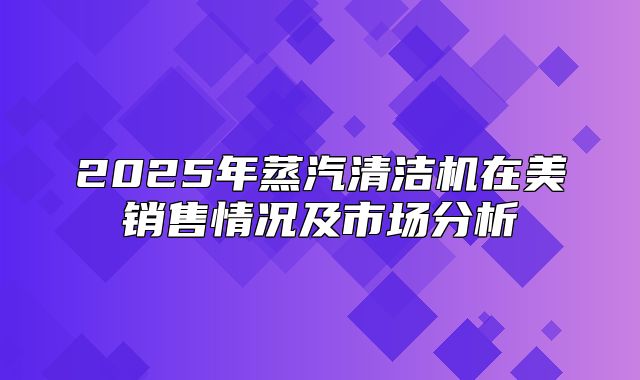 2025年蒸汽清洁机在美销售情况及市场分析