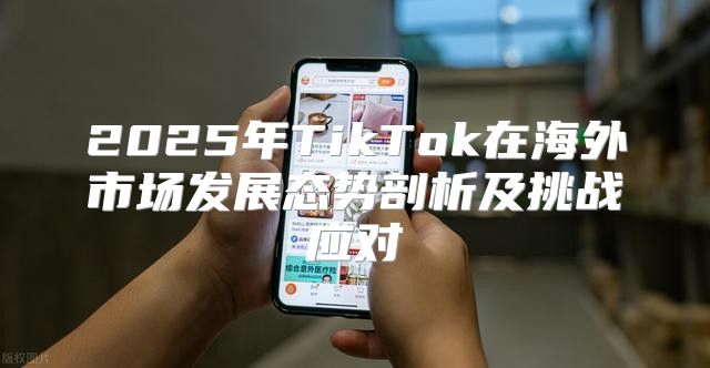 2025年TikTok在海外市场发展态势剖析及挑战应对