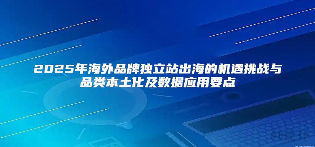 2025年海外品牌独立站出海的机遇挑战与品类本土化及数据应用要点