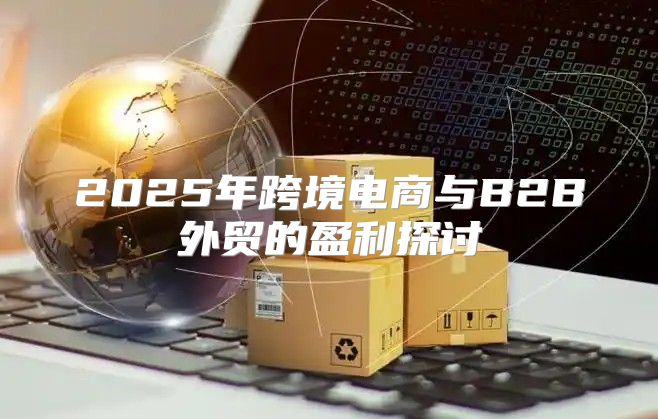 2025年跨境电商与B2B外贸的盈利探讨