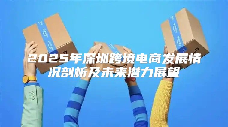 2025年深圳跨境电商发展情况剖析及未来潜力展望