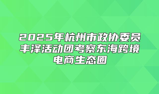 2025年杭州市政协委员丰泽活动团考察东海跨境电商生态圈