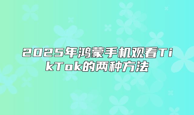 2025年鸿蒙手机观看TikTok的两种方法