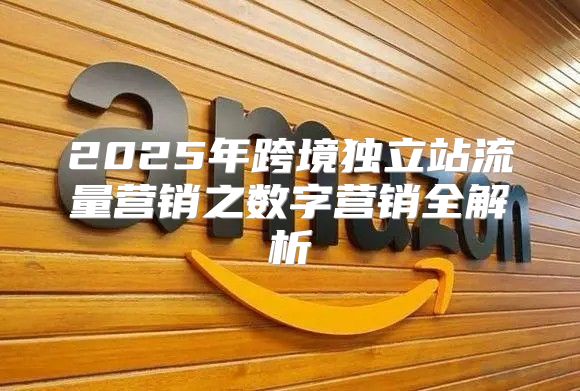 2025年跨境独立站流量营销之数字营销全解析