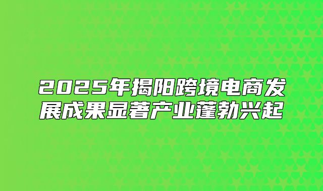 2025年揭阳跨境电商发展成果显著产业蓬勃兴起