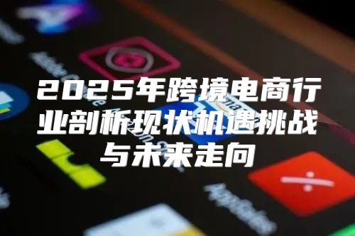 2025年跨境电商行业剖析现状机遇挑战与未来走向