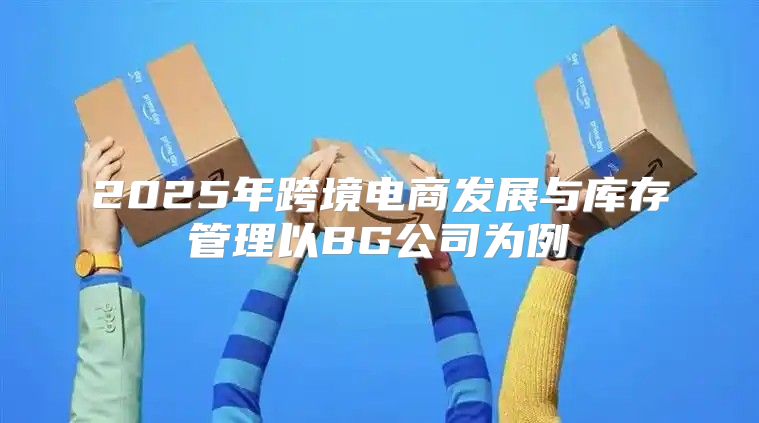 2025年跨境电商发展与库存管理以BG公司为例
