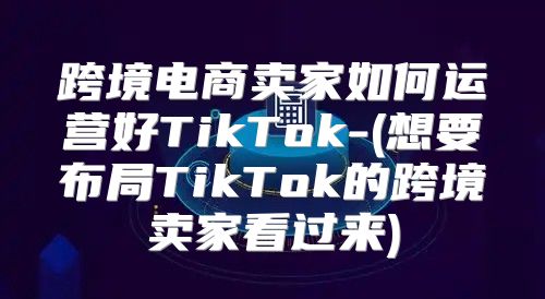 跨境电商卖家如何运营好TikTok-(想要布局TikTok的跨境卖家看过来)