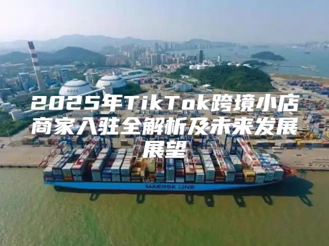 2025年TikTok跨境小店商家入驻全解析及未来发展展望