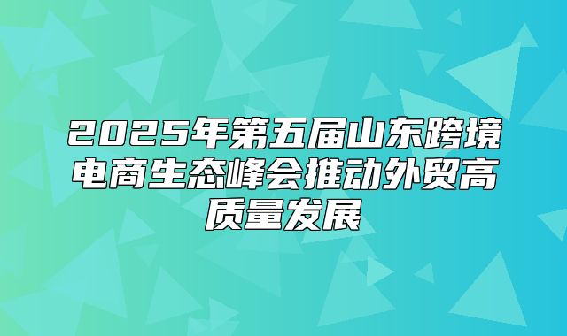 2025年第五届山东跨境电商生态峰会推动外贸高质量发展