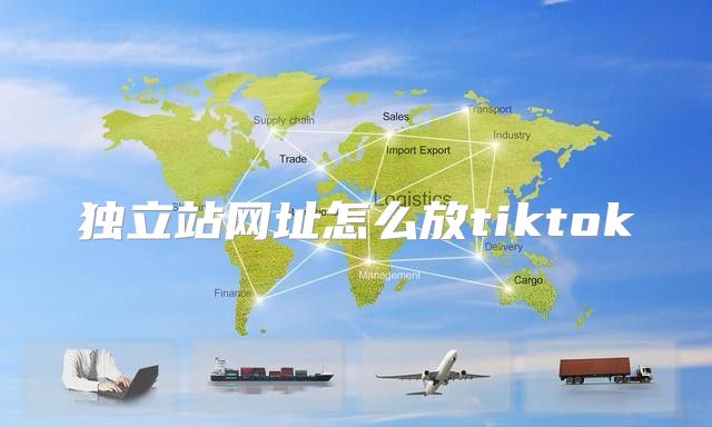 独立站网址怎么放tiktok