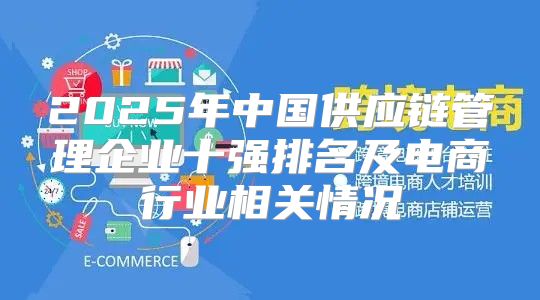 2025年中国供应链管理企业十强排名及电商行业相关情况