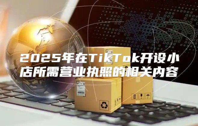 2025年在TikTok开设小店所需营业执照的相关内容
