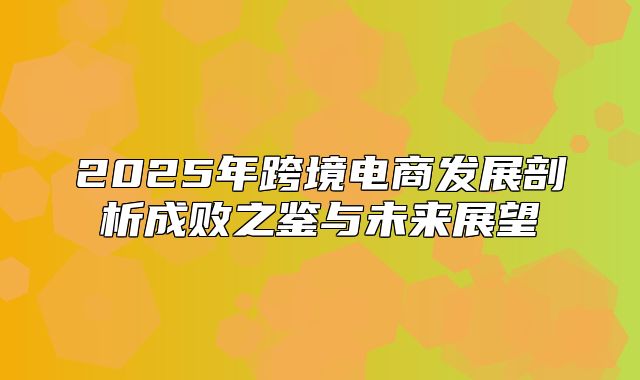 2025年跨境电商发展剖析成败之鉴与未来展望